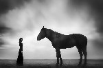 Бытовые услуги объявление но. 3474374: Желаете заказать картину класса-премиум для интерьера?