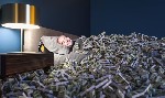 Страхование и финансы объявление но. 3225347: Деньги бесплатно,  бонусы и раздача!