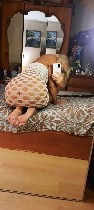 Интим-девушки, индивидуалки объявление но. 3434133: Юлия 43г,  г.  Пушкин,  индивидуально