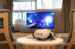 Услуги объявление но. 3426377: Медитация VR