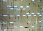 Продукты питания объявление но. 1665339: Heets sticks оптом, Стики для Iqos опт